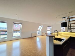 Wohn-Ess-und Küchenbereich