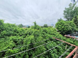 Ausblick franzsösischer Balkon