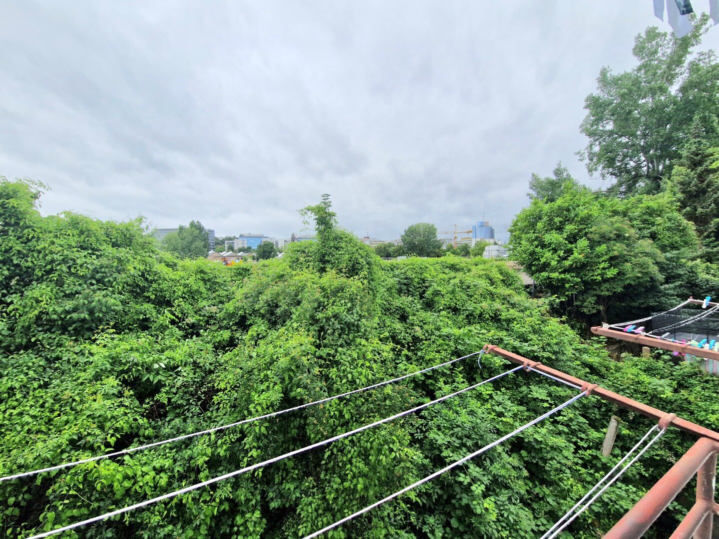 Ausblick franzsösischer Balkon