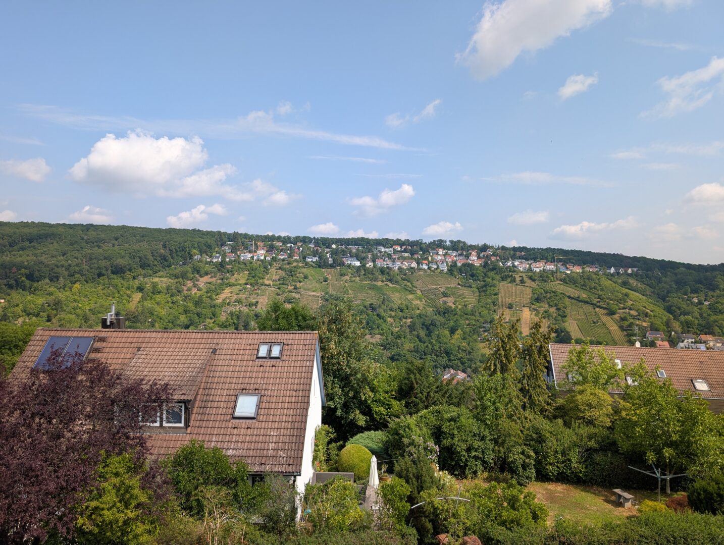 Ausblick